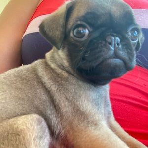 Meet your Posher, Marta